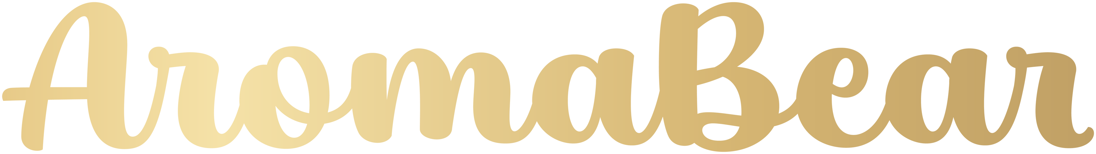AromaBear